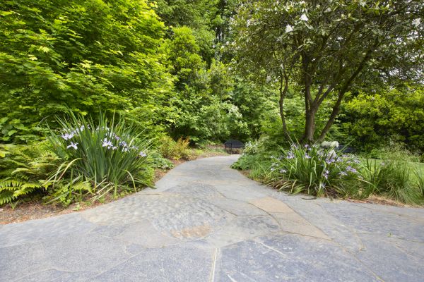 Stone Hardscape Service in Bethlehem